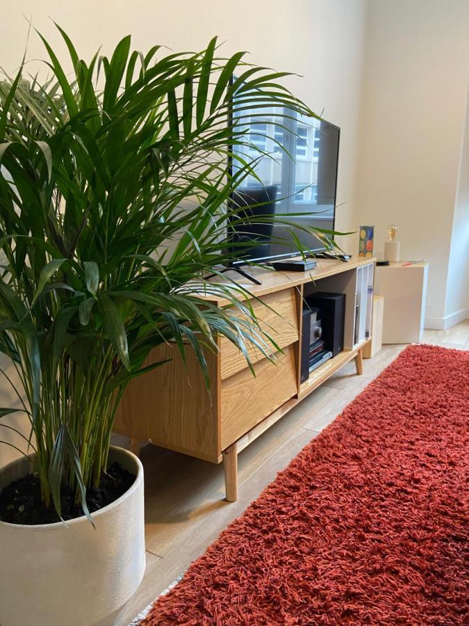 La Palmeraie - Appartement Classe 4 Etoiles - Hyper Centre Ville Quimper Kültér fotó